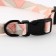 Set "Rombs", fastener - fastx, leash 2 m and collar 28-46 cm