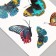 Tattoo on the body color "butterflies" 10.5x6 cm