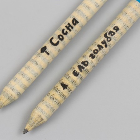 Growing gift pencils mini "blue spruce + pine" set 2 pcs.-4