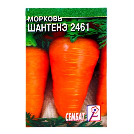 Carrots "Chantene 2461", 0.5 g