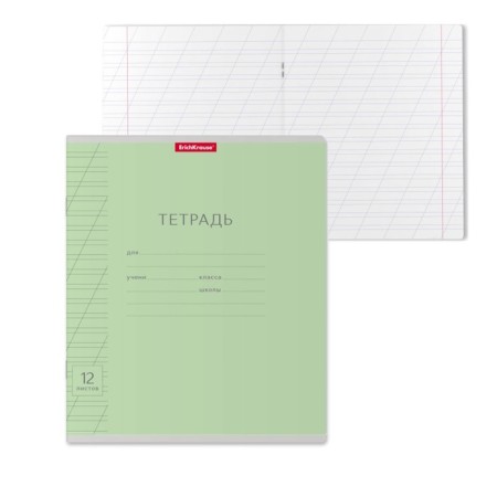 Notebook of 12 sheets in the slanting ruler, Erichkrause Visio "Classic", cover coated cardboard, offset block, green