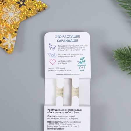 Growing gift pencils mini "blue spruce + pine" set 2 pcs.-3