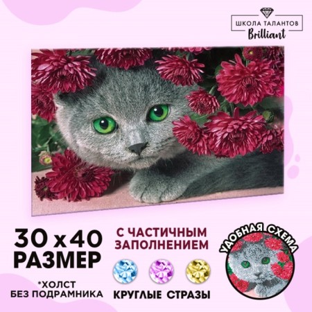 Diamond mosaic with a partial filling "kitten", 40 x 30 cm. Set for creativity-1