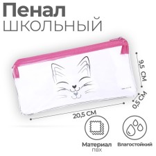 Penal soft 1 compartment, 95 x 205 mm, flat, PVC, calligrata 