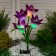 Sadovy lamp on the sunny battery "Lilia Violet", 80 cm, 4 LED, glow of multi (RGB)