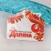 Washcloth on the handle of the share, 41 cm, color mix