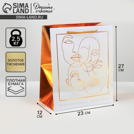 Gift laminated package, packaging, "bronze", 23 x 27 x 12 cm