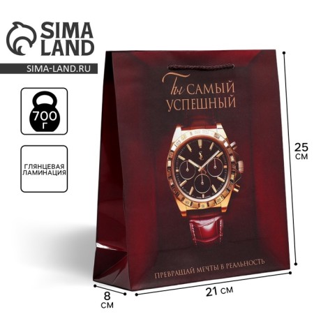 Gift laminated package, packaging, “success”, ml, 25 x 21 x 8 cm