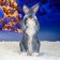 Garden Figure "The Hare Eared" 18x18x42cm Gray