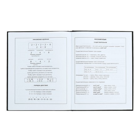 Universal Diary Grade 1-11, 48 raccoon sheets, solid cover, foil embossing, glossy lamination, universal cheat sheet, block 65 g/m2-11