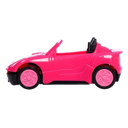 Set with a pet "animals. Automobile"-8