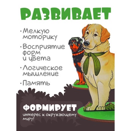 Game set "Dogs service"-1