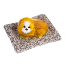 A toy on a car panel, a dog on a pillow, a white-red color