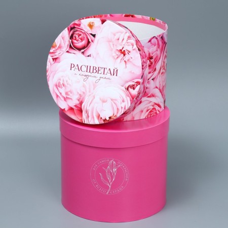 Set of hats 5 in 1, gift packaging, “flowers”, 13 x 14 - 19.5 x 22 cm-4