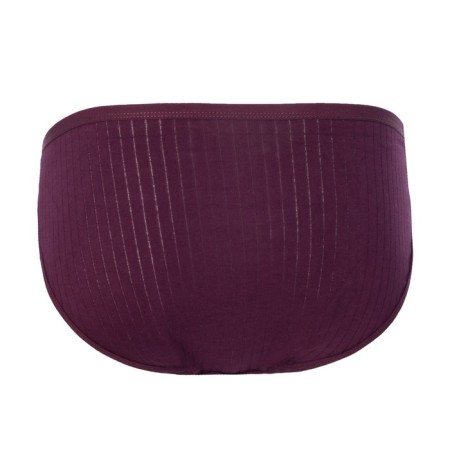 Cowards women's slips, color mix, size 48-2