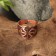 Kolovrat's amulet ring, plate, copper