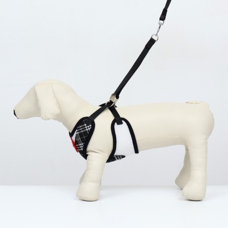 A set with a soft harness with a bow "Cell", L, leash 120 x 1.5 cm, og 35-50 cm, black 96837-1