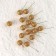 Figure for crafts and decor on the Shar wire, set of 15 pcs., Size 1 pc. - 3 × 9 cm, gold color
