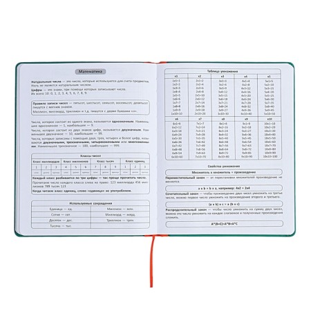 Universal diary for grades 1-11 Excellence, solid cover of artificial leather, silkography, lies, 48 ​​sheets, green-7