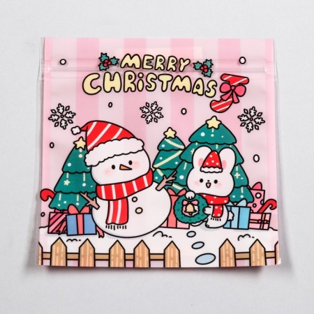 Gift package, with zip-lock fastener 13.5 x 13.5 cm-3