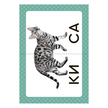 Speech therapy cards. We launch speech. Words from 2 syllables. 34 cards. Osmanova G.A.-2