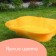 Plastic sandbox, 94 × 70 × 19 cm, yellow, "Sinbad"