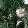Artificial Christmas tree "Baikal Snow White" 100 cm