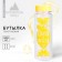 Water bottle "Lemon+Water", 500 ml