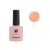 No. 22 apricot