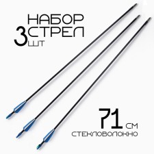A on onion arrows 3 pcs, fiberglass, black, plumage - blue, 71 cm