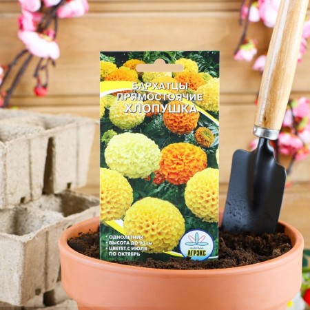 Flower seeds marigolds are erect "cracker", 0.2 g