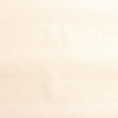 Paper wallpapers, legend 565-01, 0.53x10.05m-1