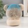 Growing gift Eco -Zhizhivchik "Elephant" mix
