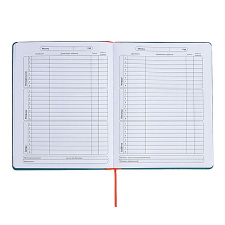 Universal diary for grades 1-11 Excellent, solid cover of artificial leather, silkography, lies, 48 ​​sheets, sea wave-6