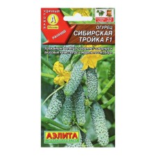Cucumber seeds 