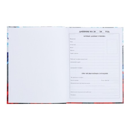 Universal diary for grades 1-11, "Russia Geometry", solid cover 7BC, glossy lamination, 40 sheets-3