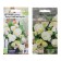 Seeds of indoor flowers Begonia "White Viz Rose", 5 pcs.