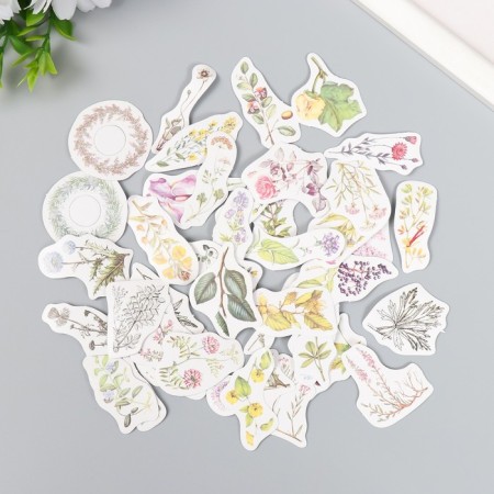 Stickers for creativity "Forest flowers" set 45 pcs 4.4x4.4x1.1 cm