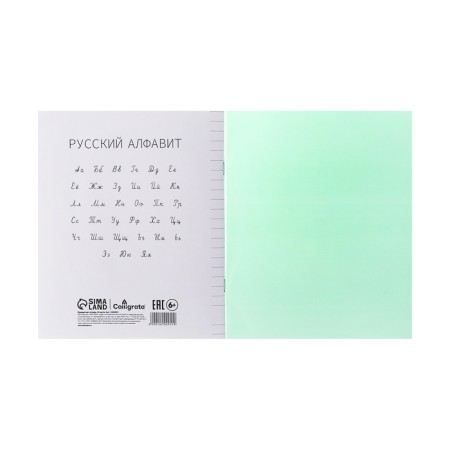 Notebook 24 sheets in the Calligrata "Green" line, plastic cover, with alphabet, offset block-4