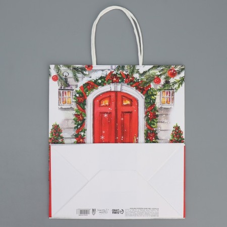 Package Gift Crafts "Welcome", 22 x 25 x 12 cm, New Year-8