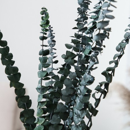 Sukhotzet "eucalyptus tree", green, 10 pcs. packaged-1