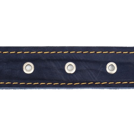 Leather collar on synthetic winterizer, dimensionless, 71 x 3.5 cm, Osh 29-62 cm, blue-5