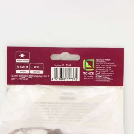 Lupin multi-leaved Ze Cheetelin, rr I, 1 pc, spring 2025-2