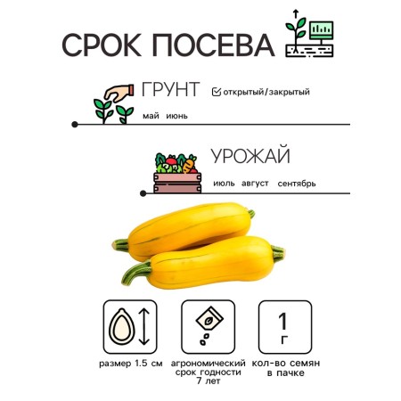 Zucchini zucchini zucchini seeds, 1 g-1