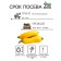 Zucchini zucchini zucchini seeds, 1 g
