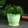 Set of pots 3 pcs. "Striped" 2.6l, 1.4l, 0.9l