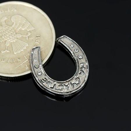 Koshelki souvenir "Horseshoe for happiness", tin-4
