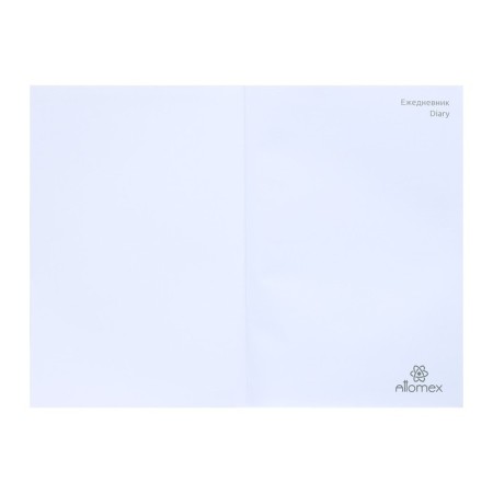 Leduced Diary A5, 160 sheets, attomex.Rigent, solid boumvinyl cover with foam rubber, liesse, block 70 g/m2, silver-2
