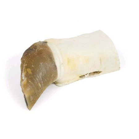 Beef leg cut Titbit for dogs, 312 g-1