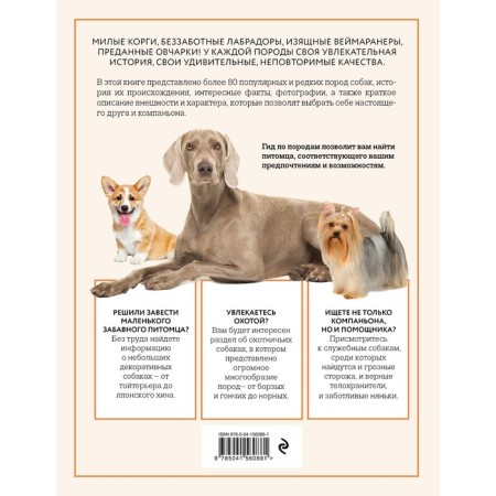 Dogs. Illustrated guide on the most popular breeds. Yavorskaya-Mileshkina E.V.-1